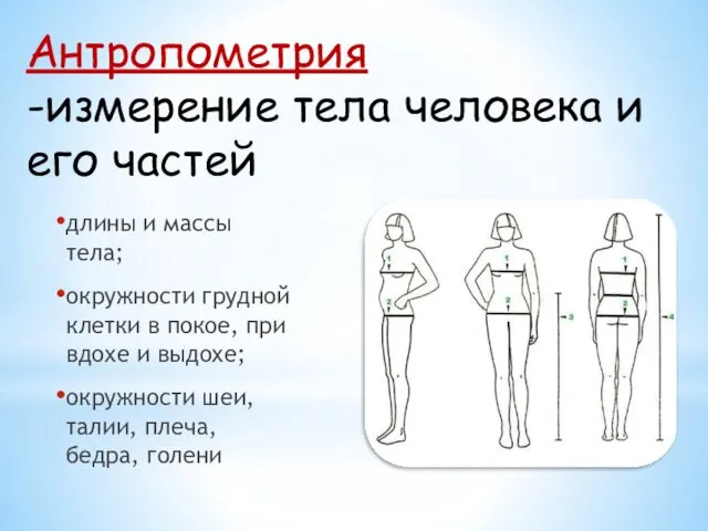 Антропометрия -измерение тела человека и его частей длины и массы тела; окружности грудной