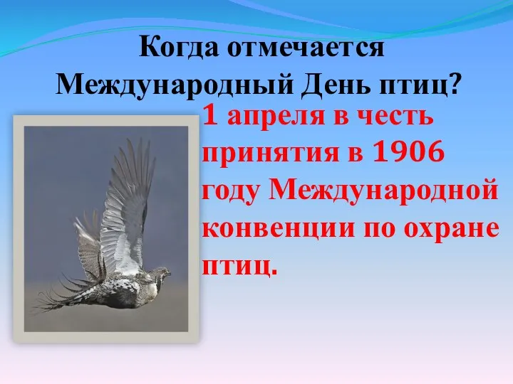 1 апреля в честь принятия в 1906 году Международной конвенции по охране птиц.