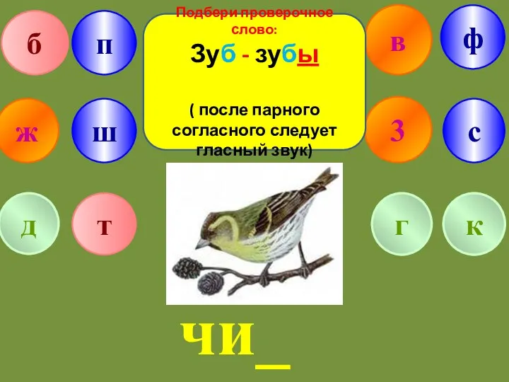 в ж 3 б п г ф т с д