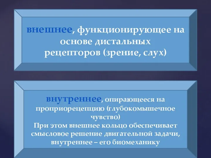 внешнее, функционирующее на основе дистальных рецепторов (зрение, слух) внутреннее, опирающееся