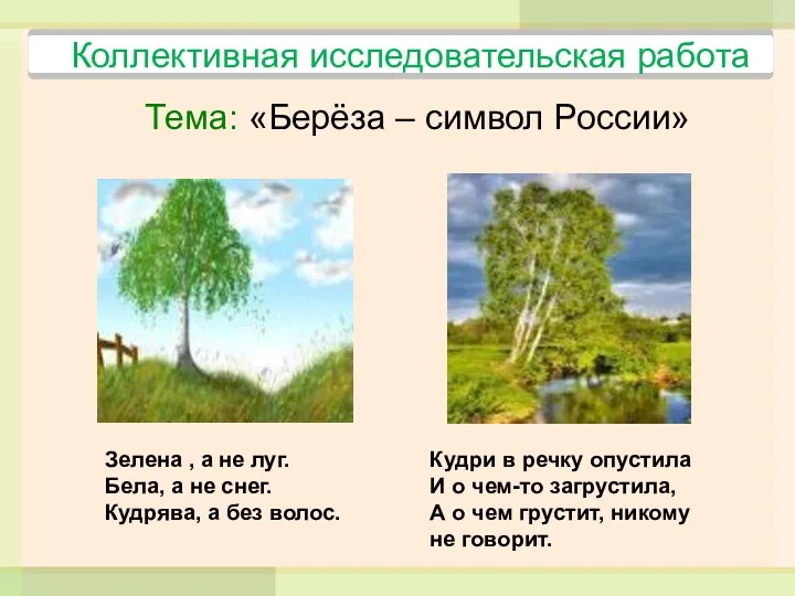Тема: «Берёза – символ России» Кудри в речку опустила И