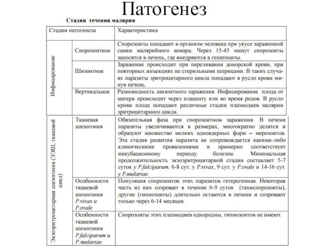 Патогенез