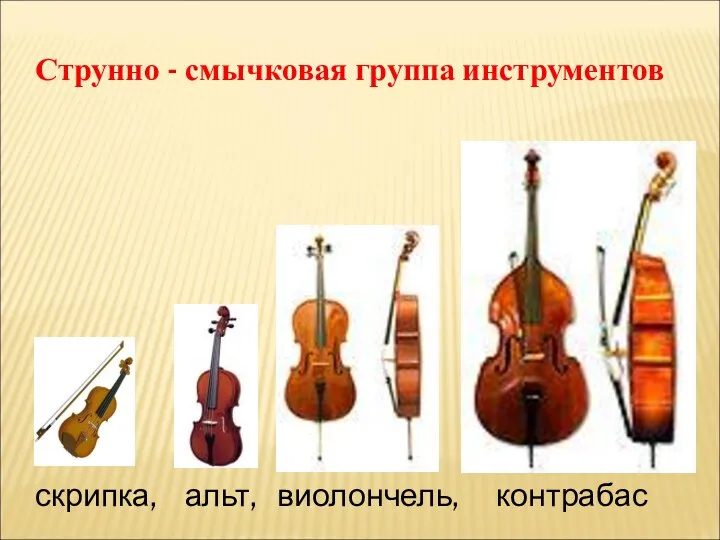 Струнно - смычковая группа инструментов скрипка, альт, виолончель, контрабас