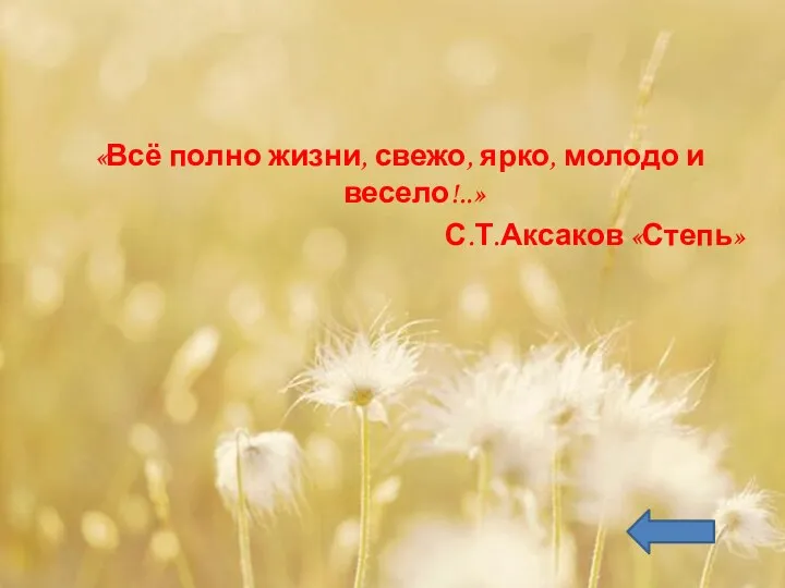 «Всё полно жизни, свежо, ярко, молодо и весело!..» С.Т.Аксаков «Степь»