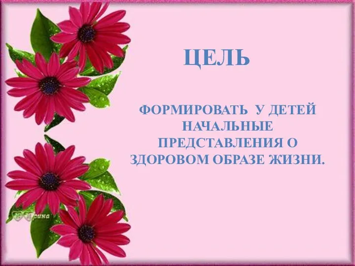 ФОРМИРОВАТЬ У ДЕТЕЙ НАЧАЛЬНЫЕ ПРЕДСТАВЛЕНИЯ О ЗДОРОВОМ ОБРАЗЕ ЖИЗНИ. ЦЕЛЬ