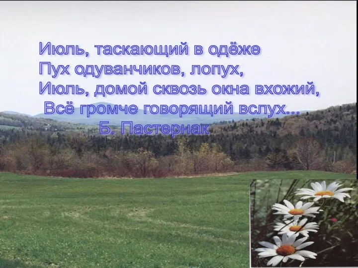 Июль, таскающий в одёже Пух одуванчиков, лопух, Июль, домой сквозь окна вхожий, Всё