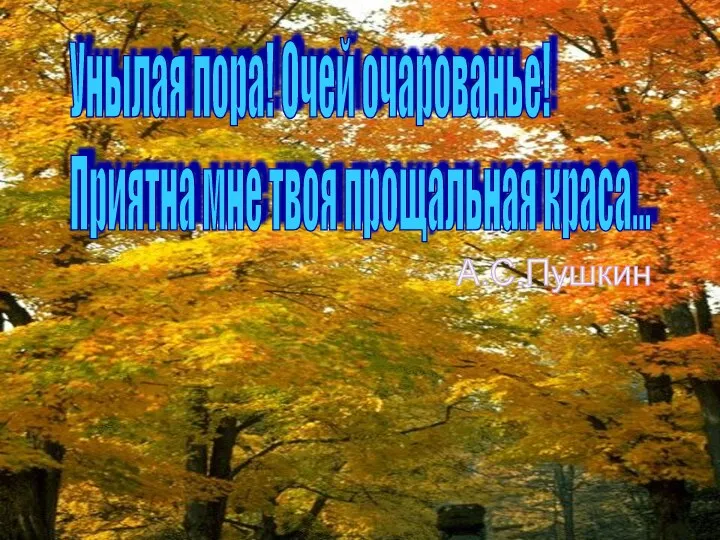 Унылая пора! Очей очарованье! Приятна мне твоя прощальная краса... А.С.Пушкин