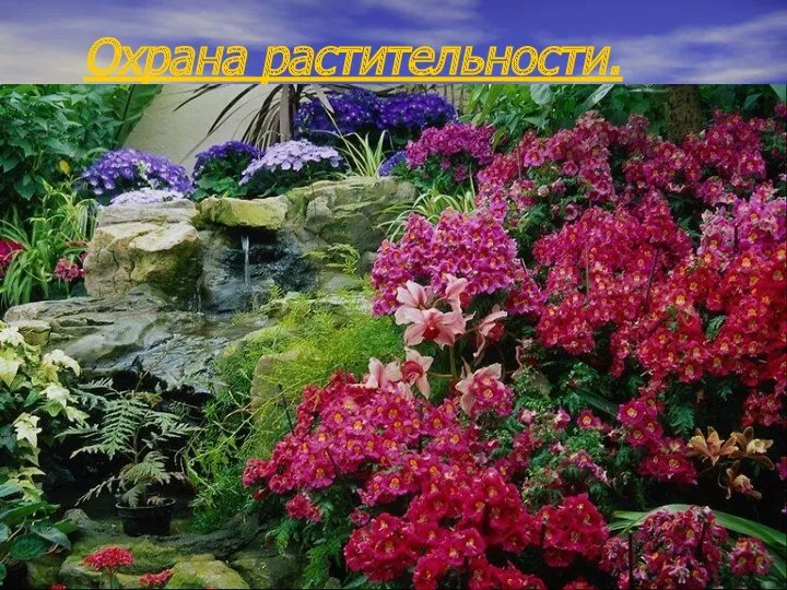 Охрана растительности.