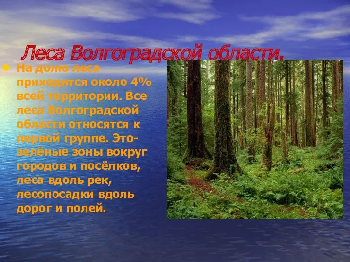 Леса Волгоградской области. На долю леса приходится около 4% всей