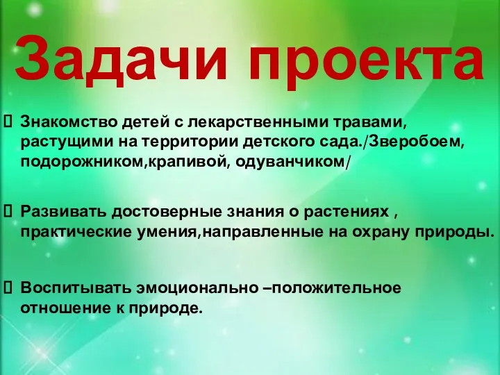 Знакомство детей с лекарственными травами,растущими на территории детского сада./Зверобоем,подорожником,крапивой, одуванчиком/