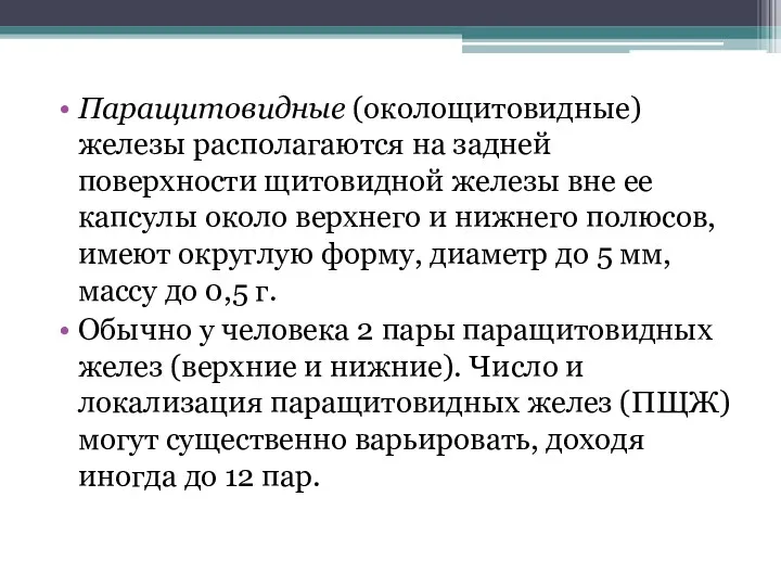 Паращитовидные (околощитовидные) железы располагаются на задней поверхности щитовидной железы вне