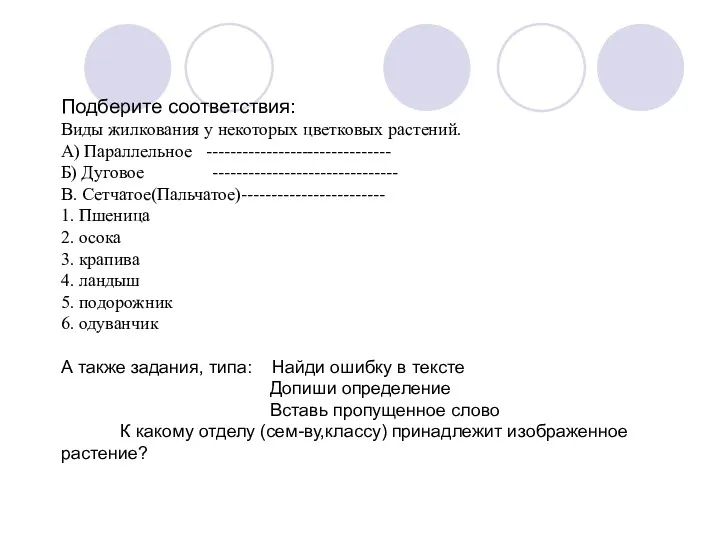 Подберите соответствия: Виды жилкования у некоторых цветковых растений. А) Параллельное