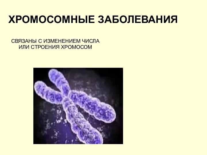 ХРОМОСОМНЫЕ ЗАБОЛЕВАНИЯ СВЯЗАНЫ С ИЗМЕНЕНИЕМ ЧИСЛА ИЛИ СТРОЕНИЯ ХРОМОСОМ