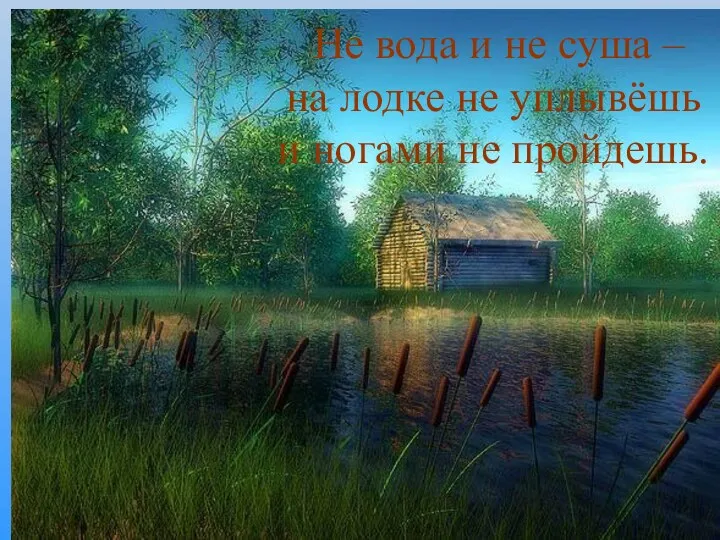 Не вода и не суша – на лодке не уплывёшь и ногами не пройдешь.