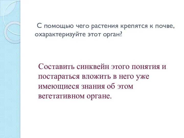 С помощью чего растения крепятся к почве, охарактеризуйте этот орган?