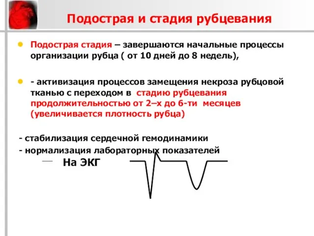 Подострая и стадия рубцевания Подострая стадия – завершаются начальные процессы