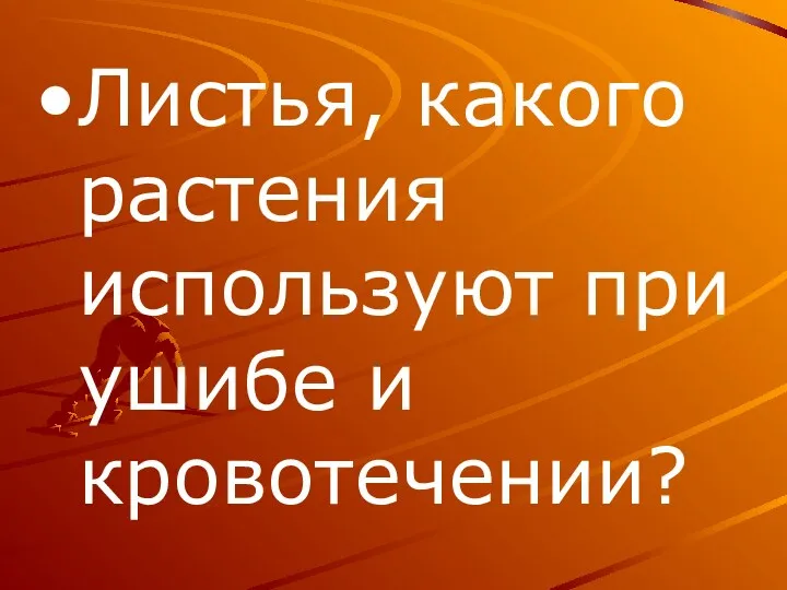 Листья, какого растения используют при ушибе и кровотечении?