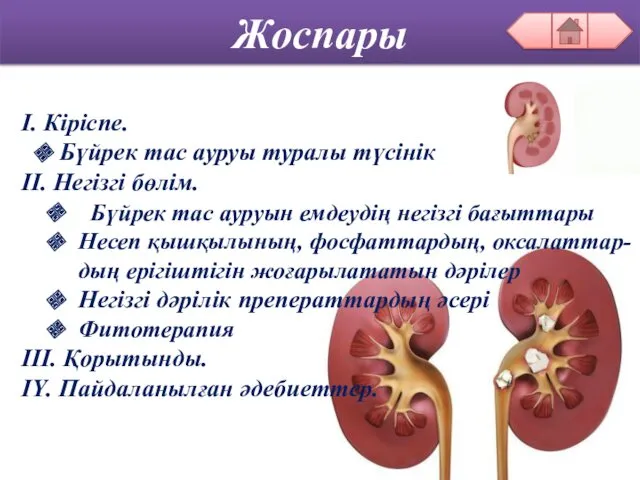 Жоспары І. Кіріспе. Бүйрек тас ауруы туралы түсінік ІІ. Негізгі