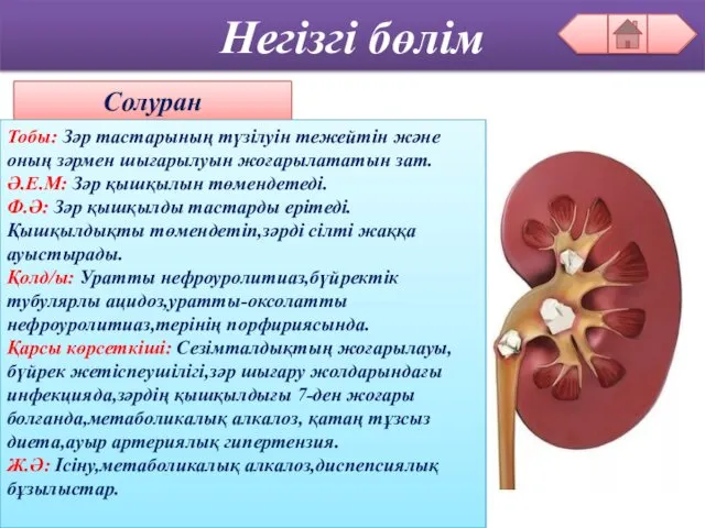 Негізгі бөлім Солуран Тобы: Зәр тастарының түзілуін тежейтін және оның