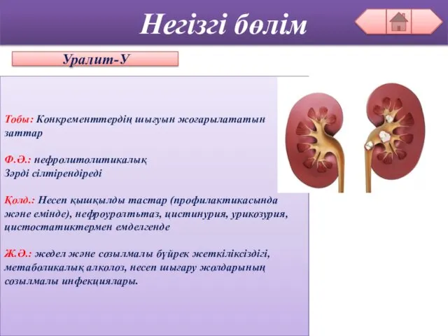 Негізгі бөлім Уралит-У Тобы: Конкременттердің шығуын жоғарылататын заттар Ф.Ә.: нефролитолитикалық