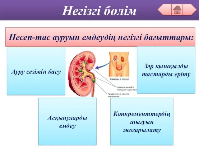 Негізгі бөлім Несеп-тас ауруын емдеудің негізгі бағыттары: Ауру сезімін басу