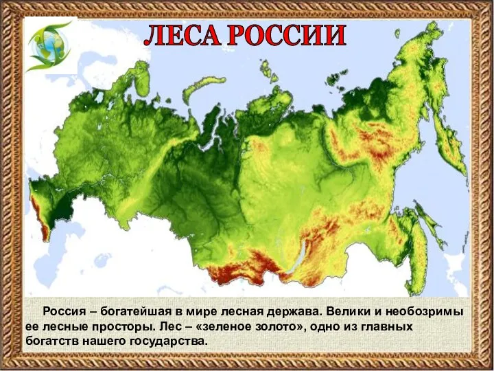 ЛЕСА РОССИИ Россия – богатейшая в мире лесная держава. Велики и необозримы ее