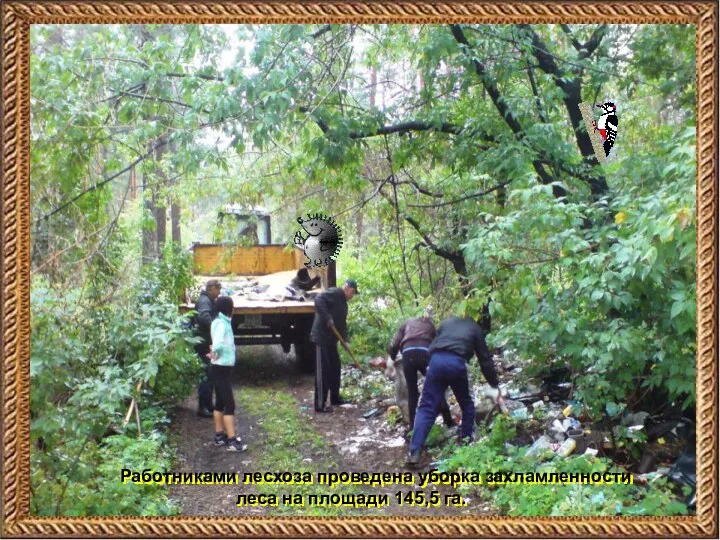 Работниками лесхоза проведена уборка захламленности леса на площади 145,5 га.