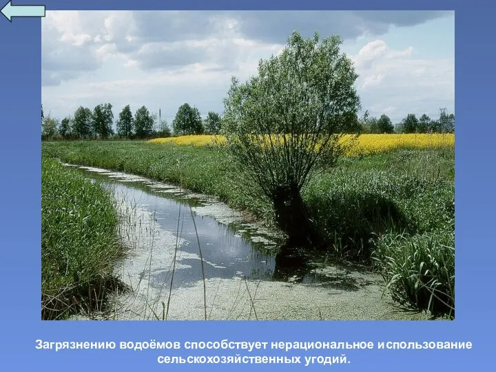 Загрязнению водоёмов способствует нерациональное использование сельскохозяйственных угодий.