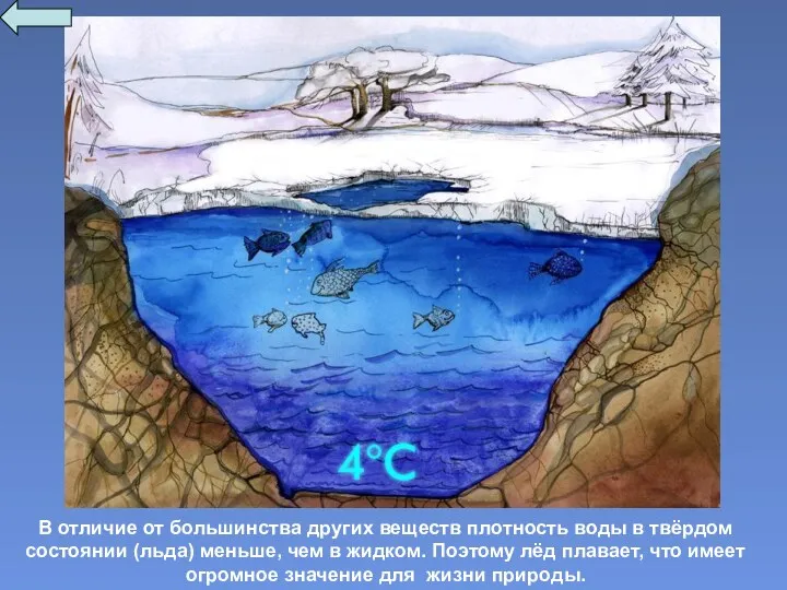 В отличие от большинства других веществ плотность воды в твёрдом