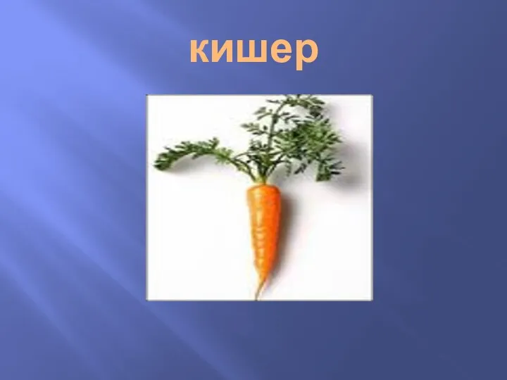 кишер