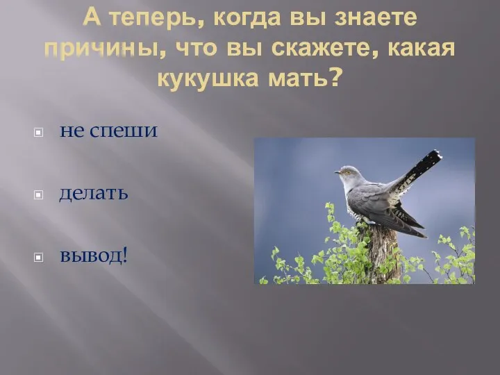 А теперь, когда вы знаете причины, что вы скажете, какая кукушка мать? не спеши делать вывод!