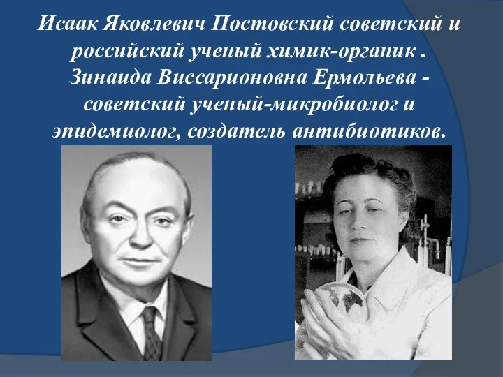 Исаак Яковлевич Постовский советский и российский ученый химик-органик . Зинаида