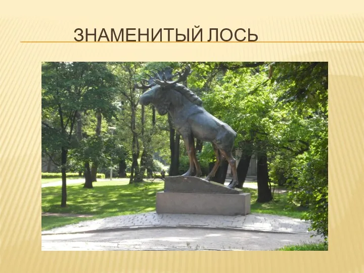 знаменитый лось