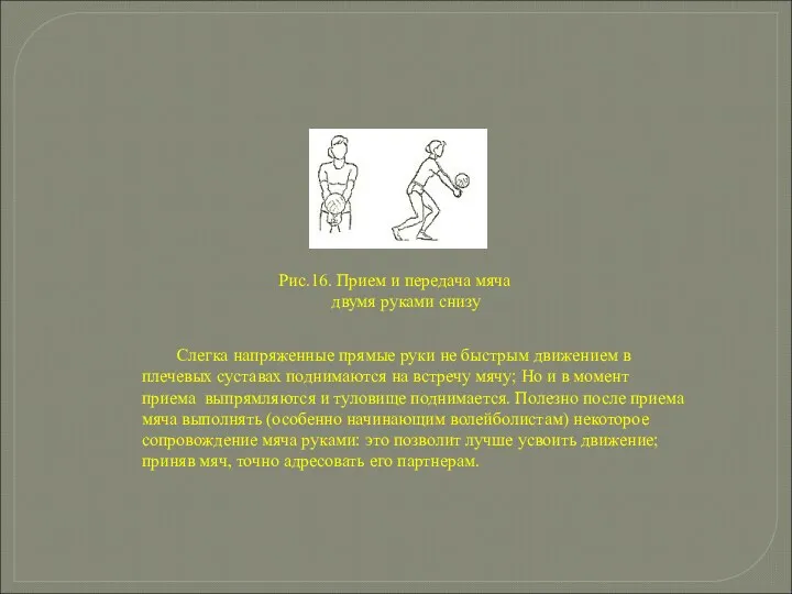 Рис.16. Прием и передача мяча двумя руками снизу Слегка напряженные