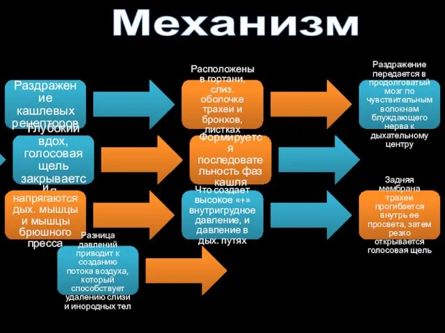 Механизм Раздражение кашлевых рецепторов Расположены в гортани, слиз. оболочке трахеи