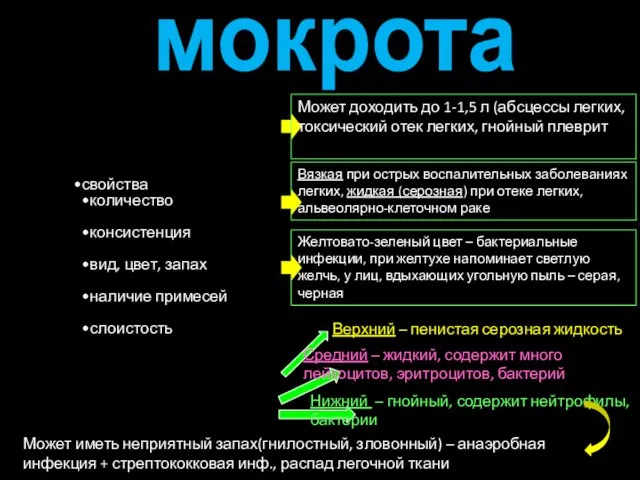 мокрота свойства количество консистенция вид, цвет, запах наличие примесей слоистость