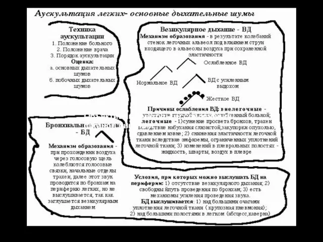 Аускультация легких Объективные методы исследования органов дыхания