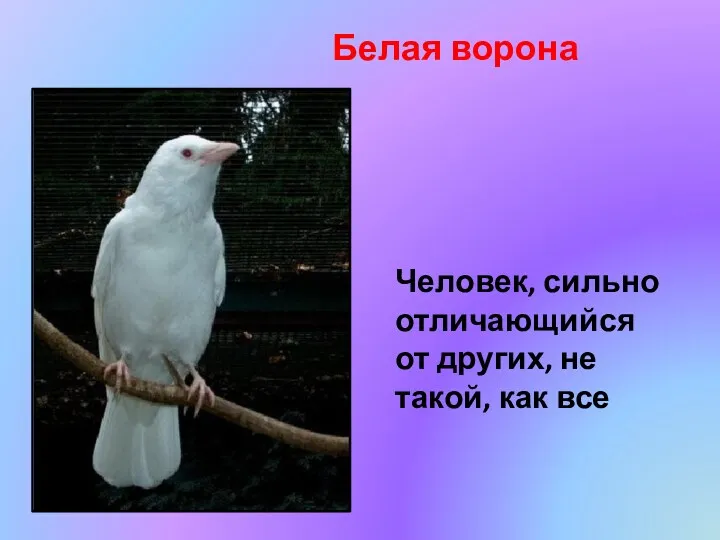 Белая ворона Человек, сильно отличающийся от других, не такой, как все