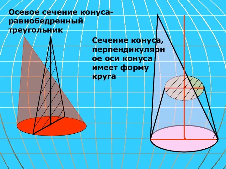 Осевое сечение конуса-равнобедренный треугольник Сечение конуса, перпендикулярное оси конуса имеет форму круга
