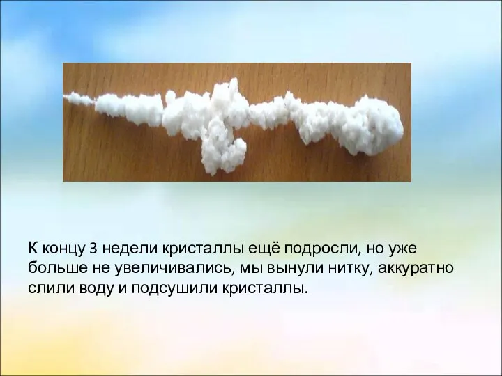 К концу 3 недели кристаллы ещё подросли, но уже больше не увеличивались, мы