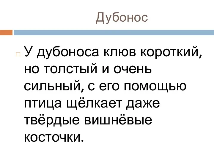 Дубонос У дубоноса клюв короткий, но толстый и очень сильный, с его помощью