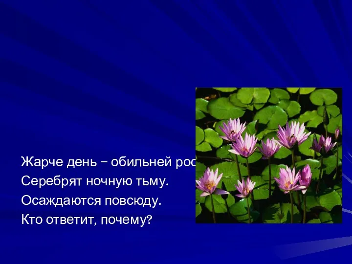 Жарче день – обильней росы Серебрят ночную тьму. Осаждаются повсюду. Кто ответит, почему?