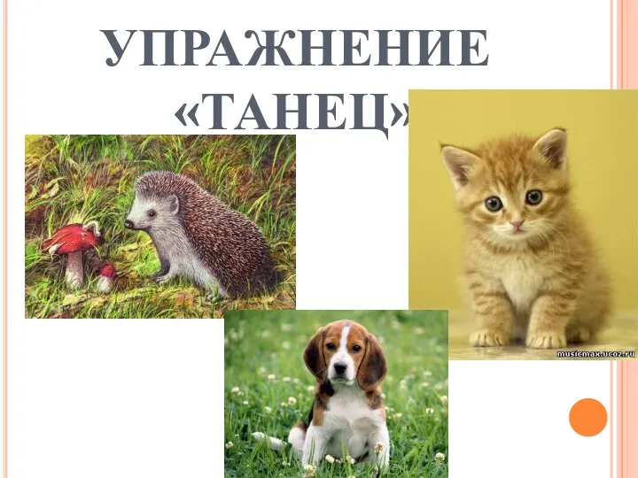 УПРАЖНЕНИЕ «ТАНЕЦ»