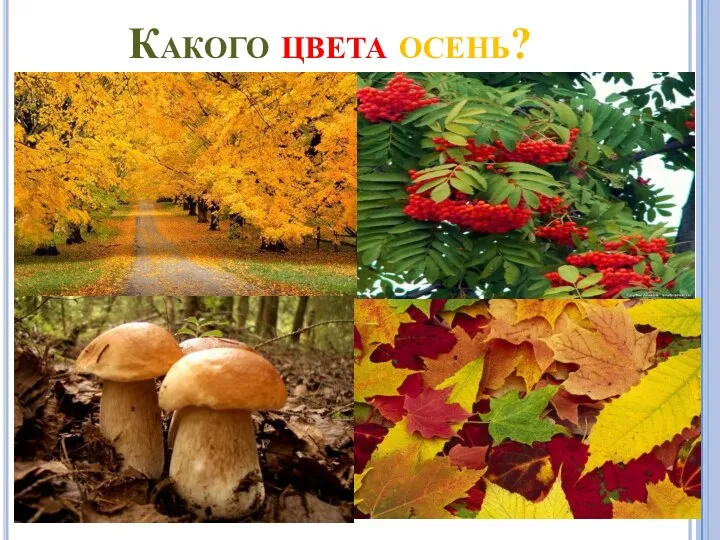 Какого цвета осень?