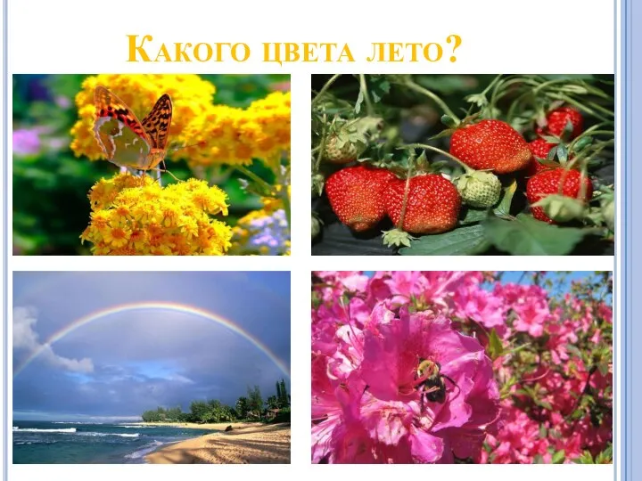 Какого цвета лето?