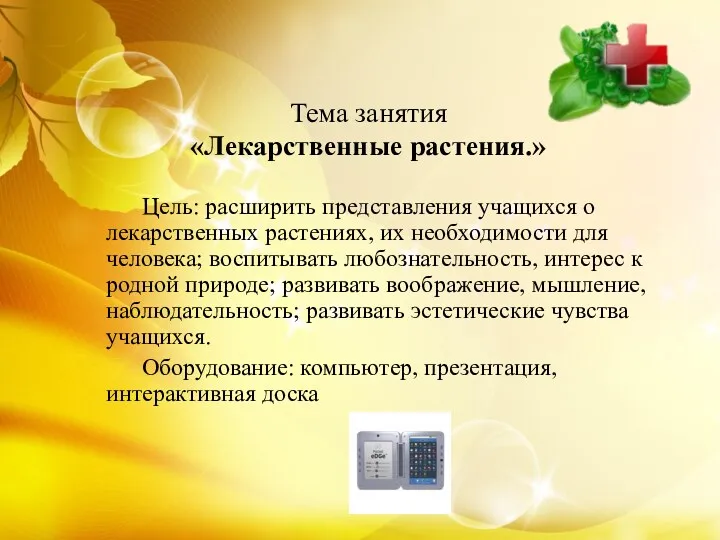 Тема занятия «Лекарственные растения.» Цель: расширить представления учащихся о лекарственных