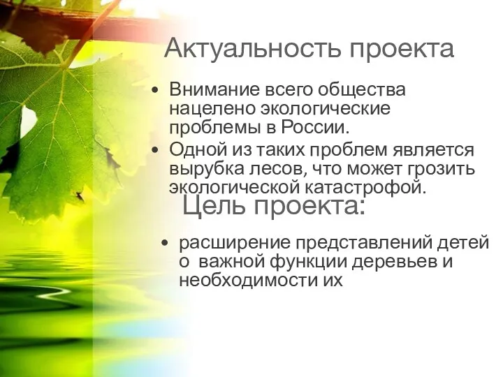 Актуальность проекта Внимание всего общества нацелено экологические проблемы в России.