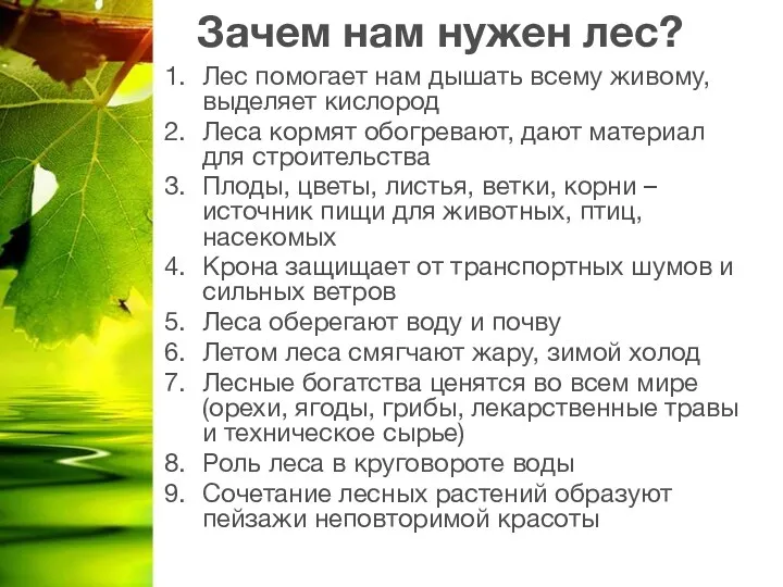 Зачем нам нужен лес? Лес помогает нам дышать всему живому, выделяет кислород Леса