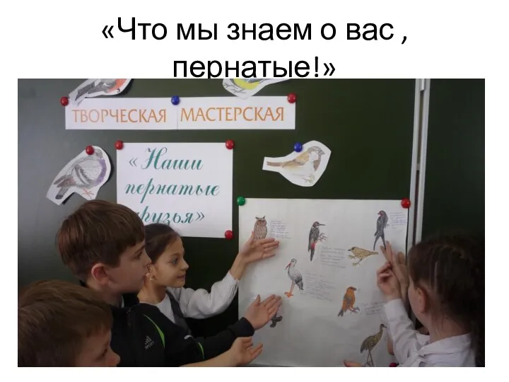 «Что мы знаем о вас ,пернатые!»