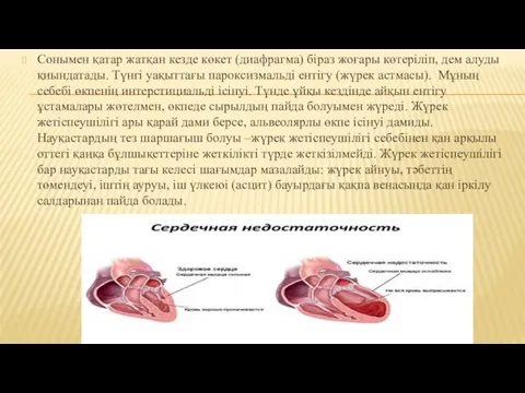 Сонымен қатар жатқан кезде көкет (диафрагма) біраз жоғары көтеріліп, дем